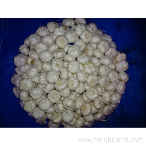 Pure White Garlic Fresh Crop 2019